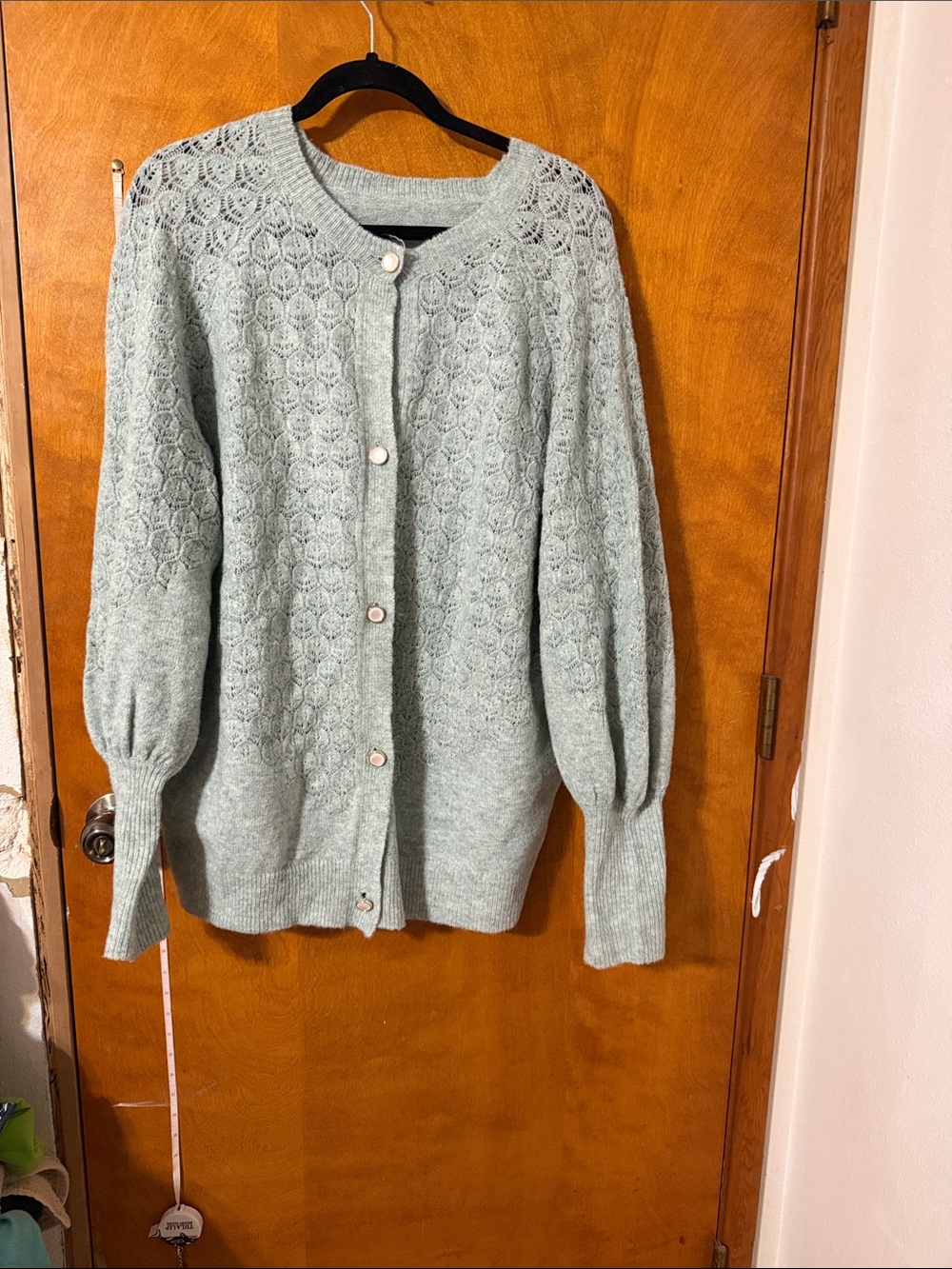 Light Sage Openwork Button-Front Cardigan with Balloon Sleeves